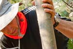 Survival Training
